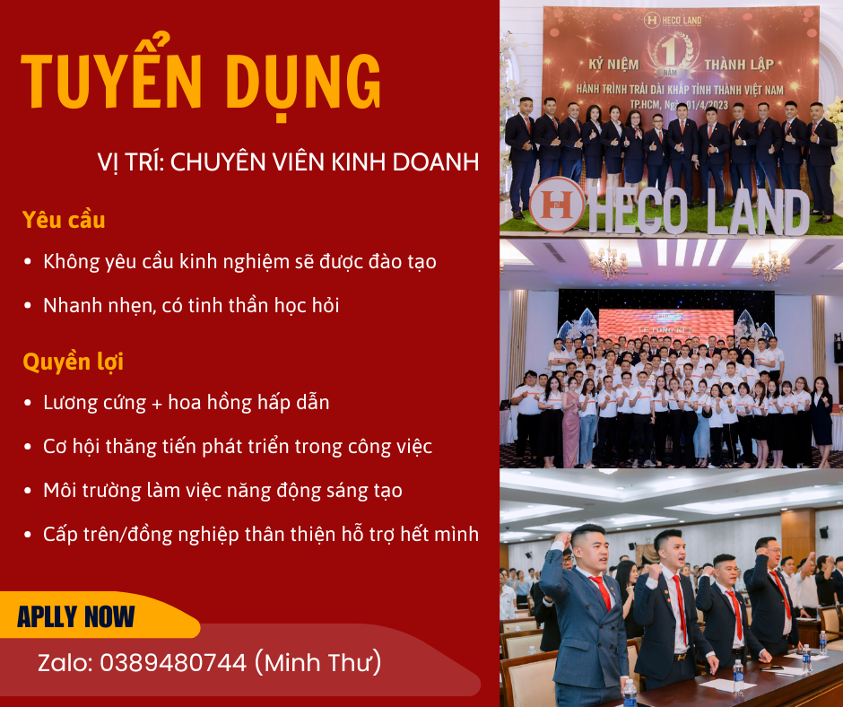 lĩnh vực hoạt động